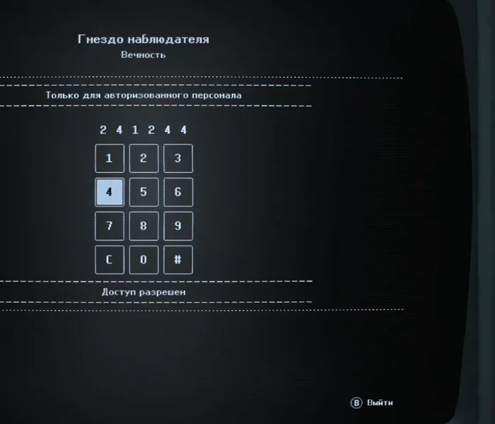 Экран компьютера в Гнезде Наблюдателя с введенным паролем и надписью «Доступ разрешен»